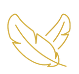feather icon