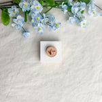 Round origami crane magnet on a white square surface next to blue flowers